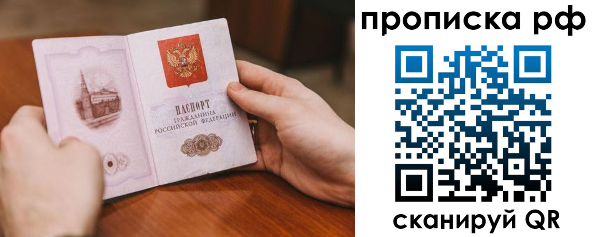 прописка поиск в Курске